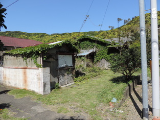 House in Kochi