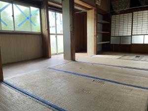 【No.250】Kiba