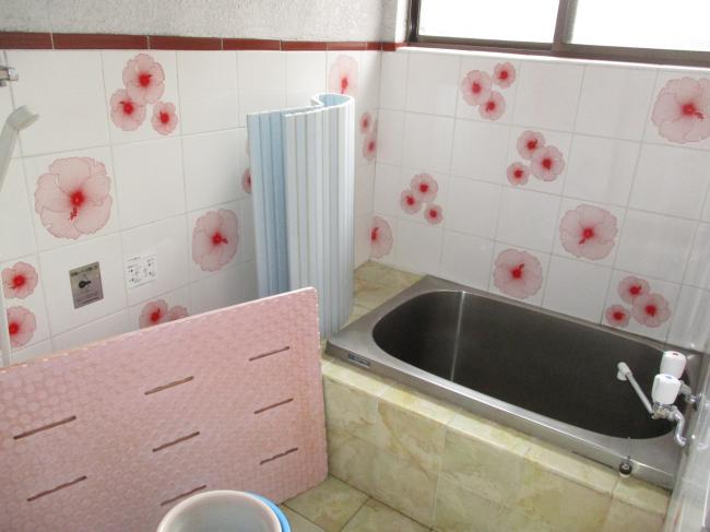 Property Information (For Sale: Ichiban-chō) No. 737
