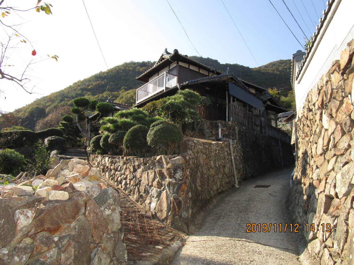 Wood house