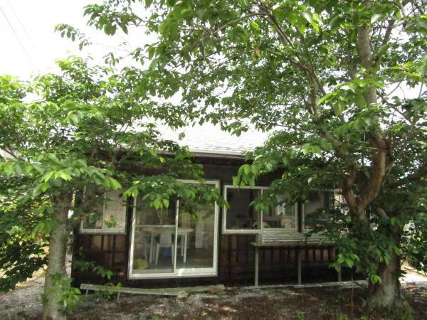 1990s wood house in Oita