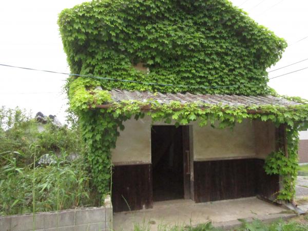 1860s wood house on a large plot in Oita