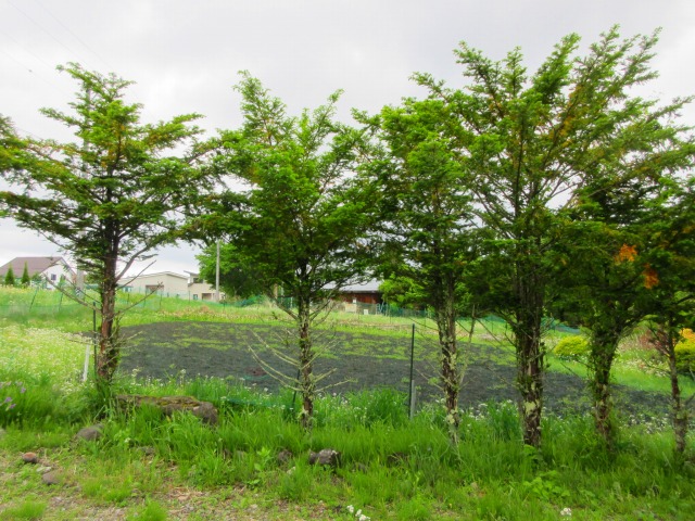Chino City, Kitayama District, Kurigahira - Single-story Used Residential House