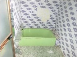Empty home in Japan