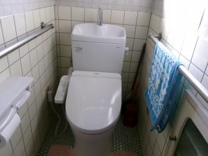 1990s wood house on a large plot in Gunma