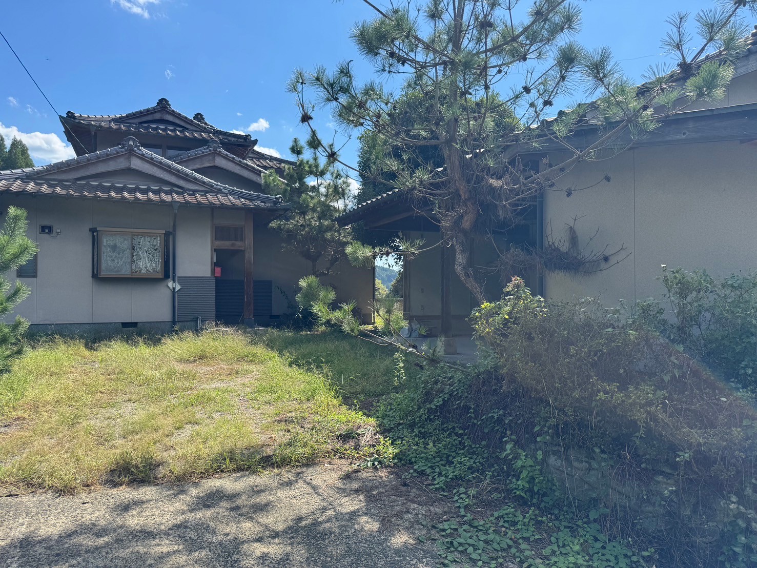 1990s wood house in Kumamoto