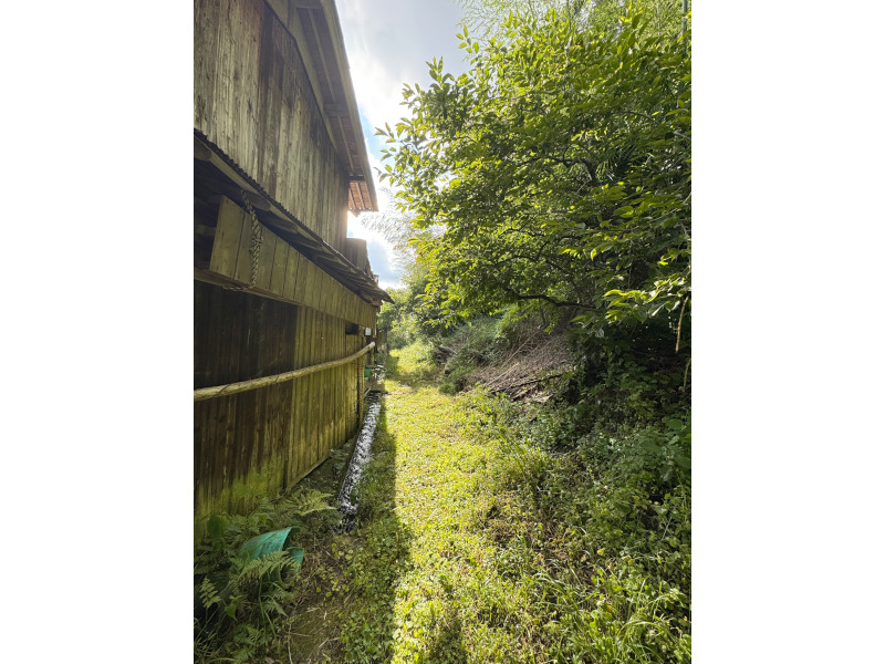 House in Hyogo