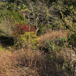 1980s wood house on a large plot in Mie