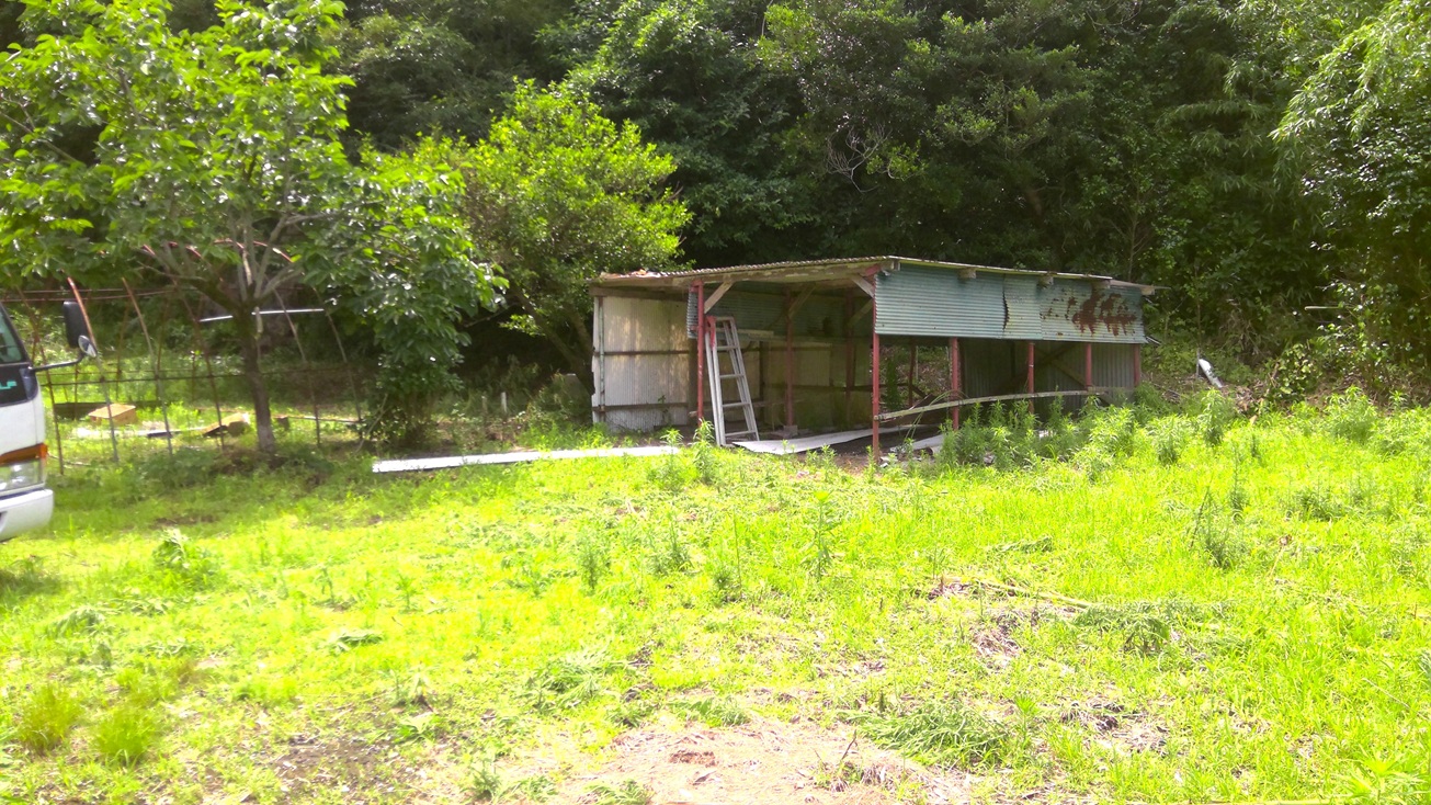 1980s wood house in Koyama, Kimotsuki, farmland, approval needed