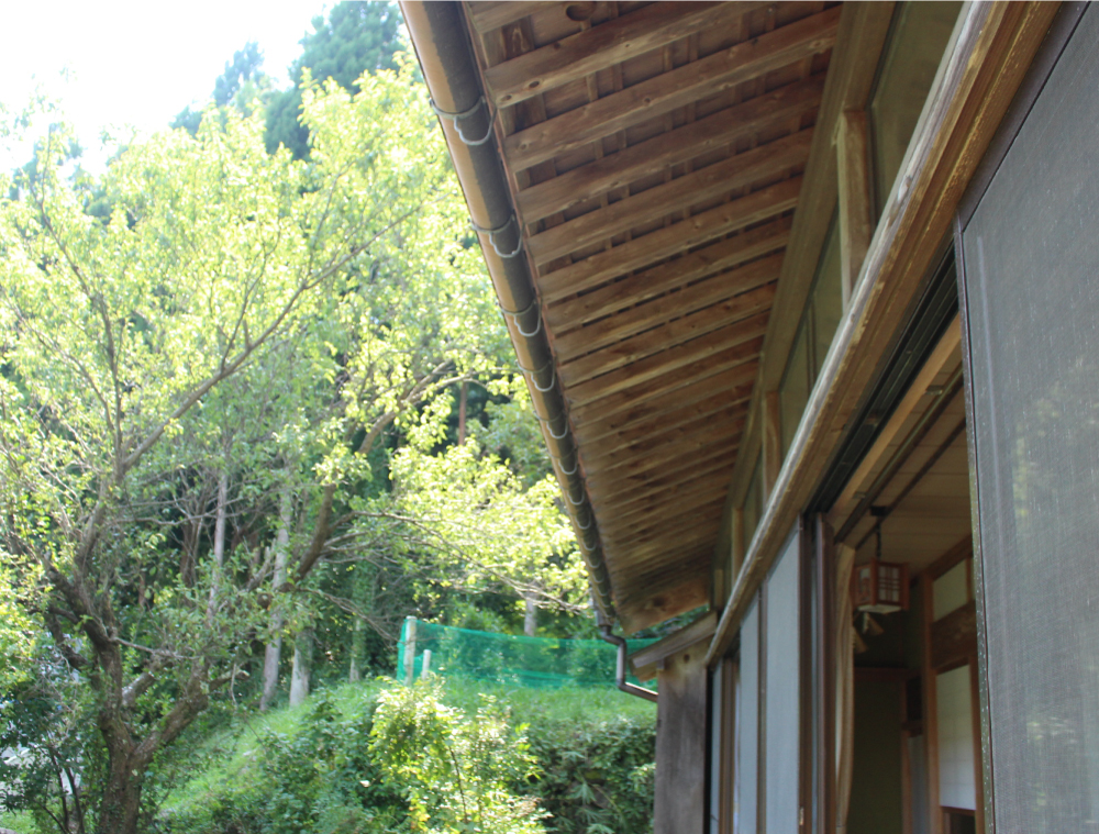 Wood house in Shiga