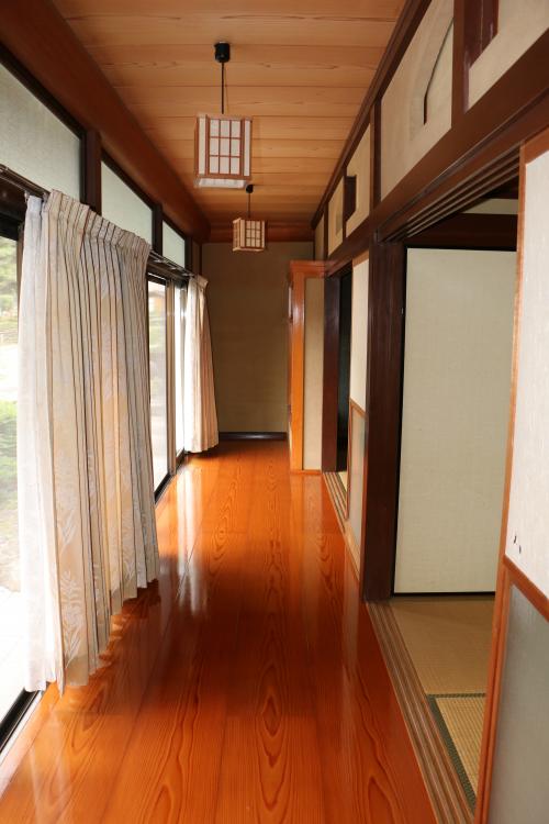 No.372 Kamitsutsuuga (Sale)