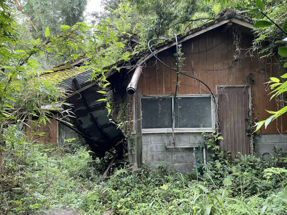 Wood house in Miyazaki