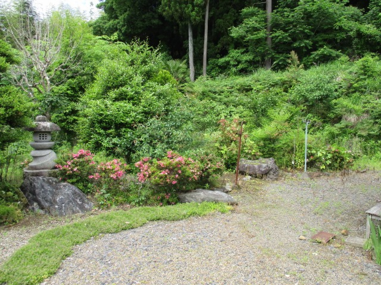 1980s wood house on a large plot in Tochigi