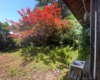 1940s wood house in Toyama
