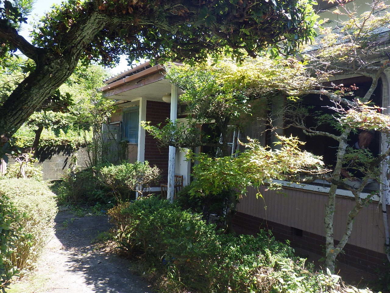 1960s wood house in Kochi