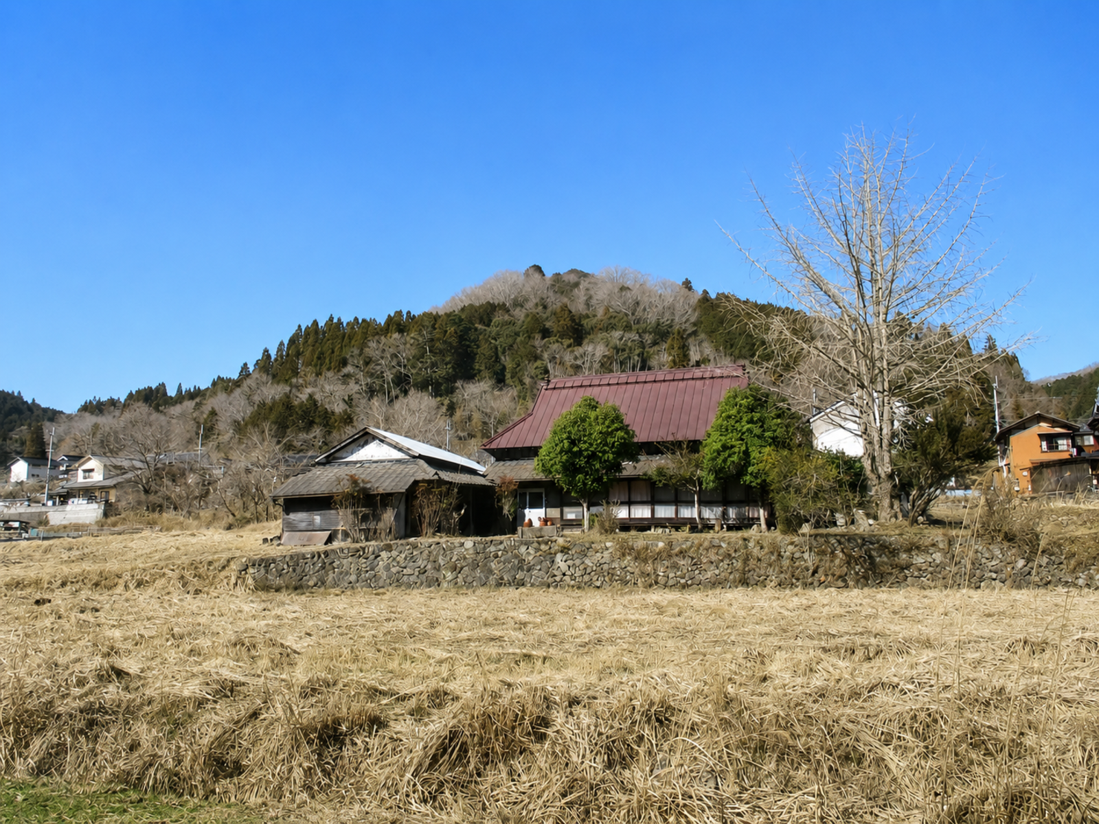 1960s wood house on a large plot in Hyogo