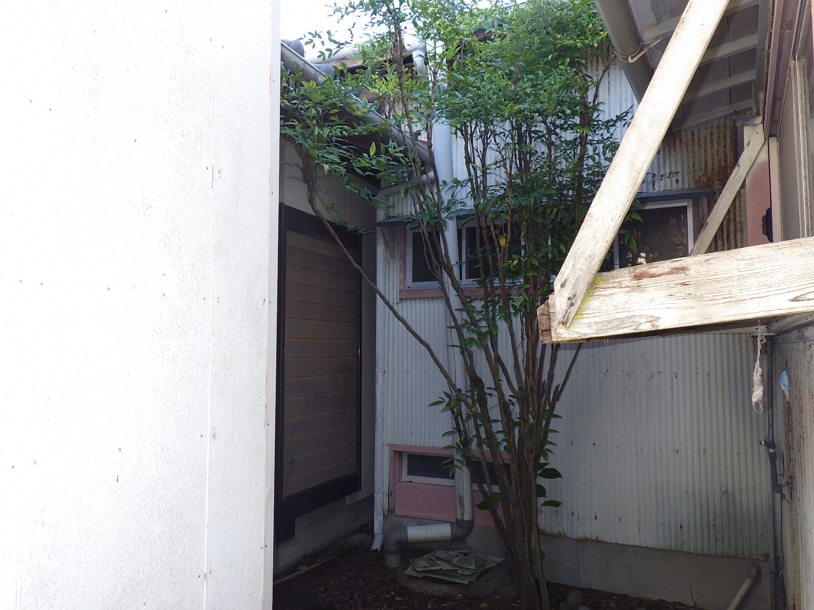 1960s wood house in Kochi