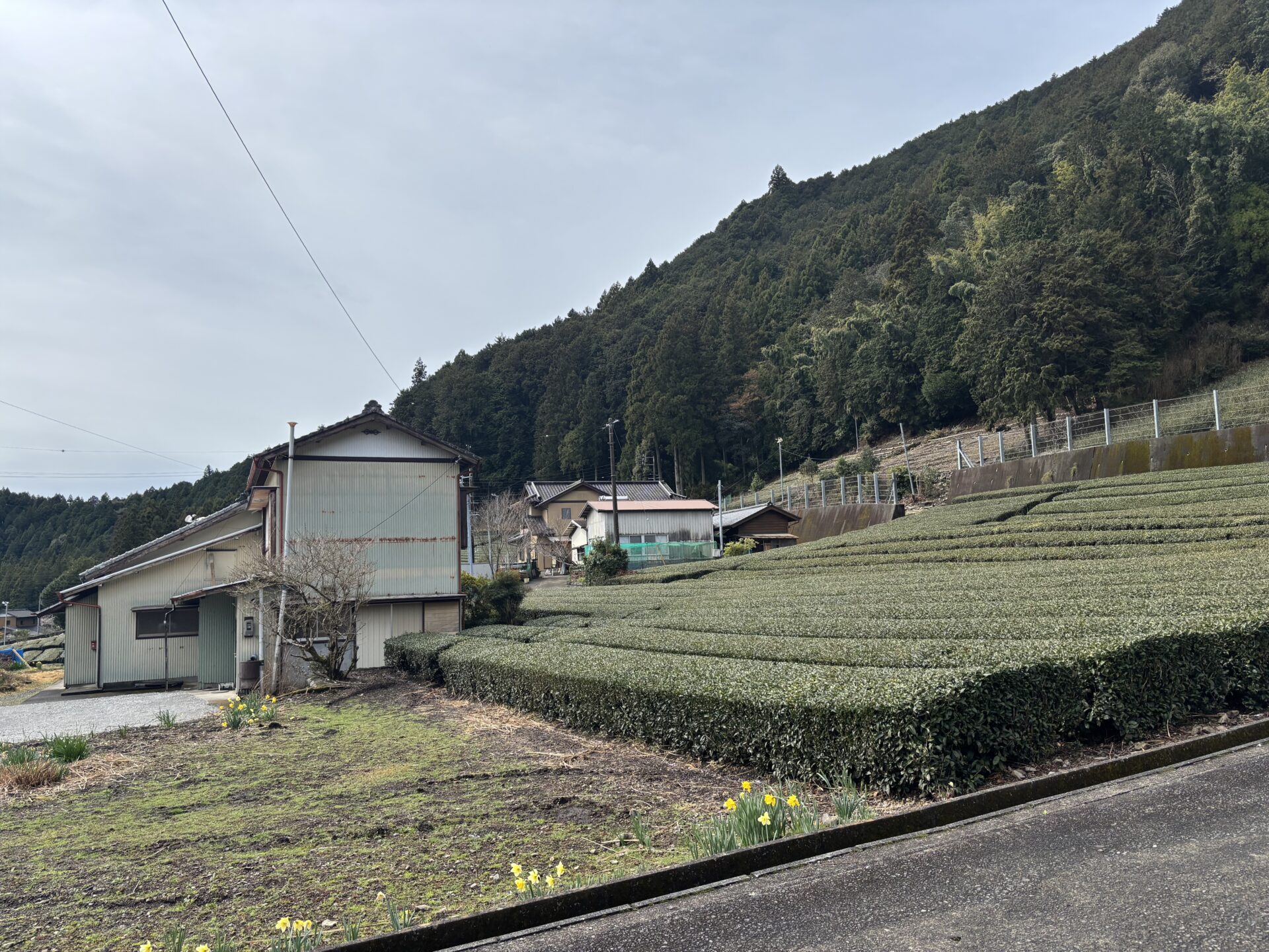 1970s wood house in Shizuoka