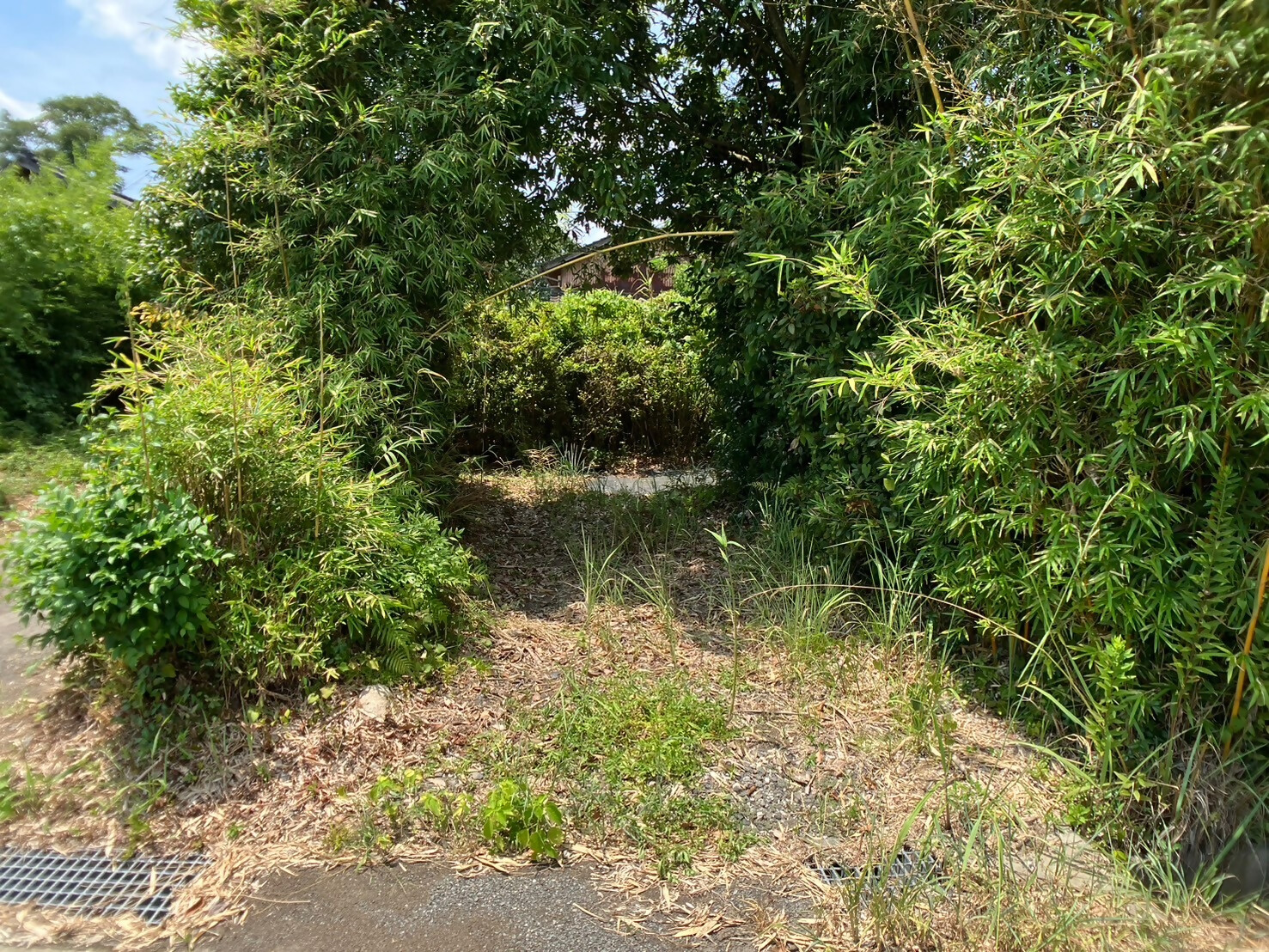 1950s wood house on a large plot in Sumiyoshi, Aira