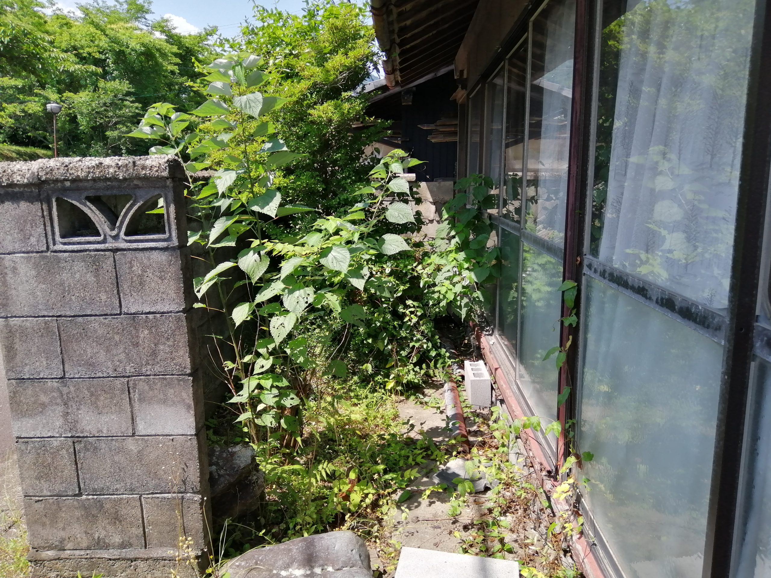 1920s wood house, 18-min walk to station, Gifu