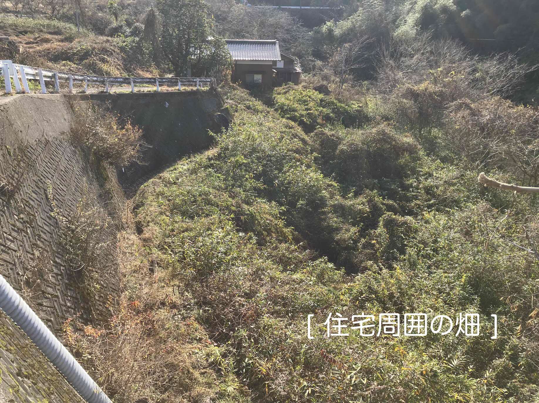 Wood house in Shimane