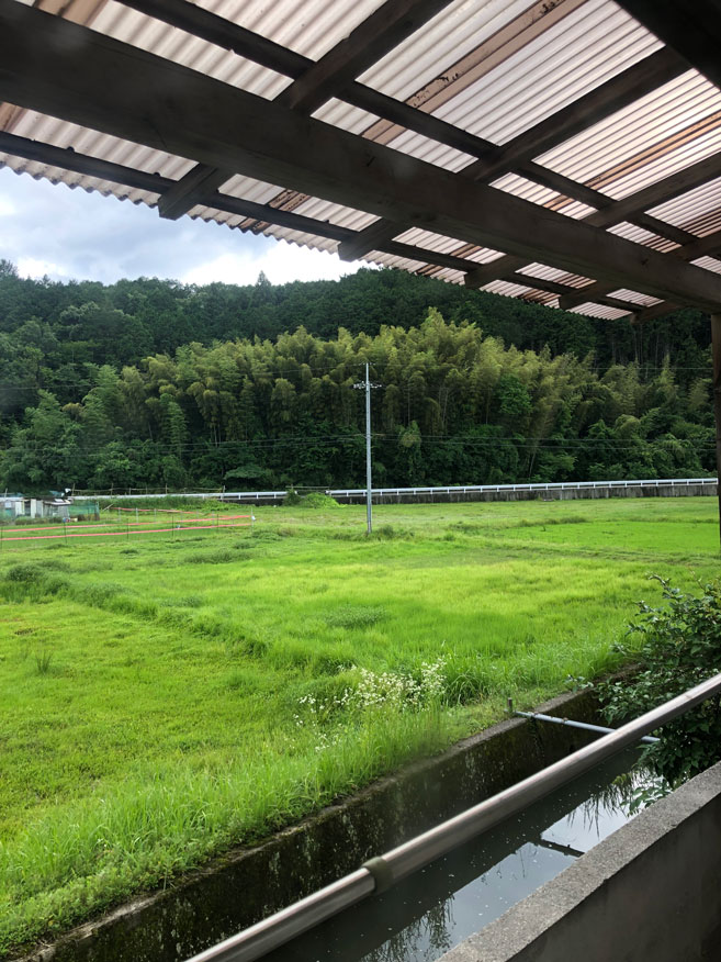 1970s house, 5-min walk to station, Yagi, Nantan