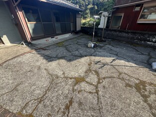 House in Kochi