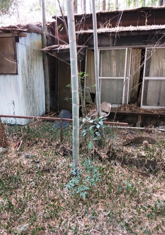 1960s wood house in Utsunomiya, Tochigi