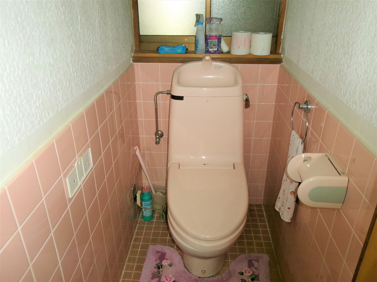 House on a large plot in Hyogo