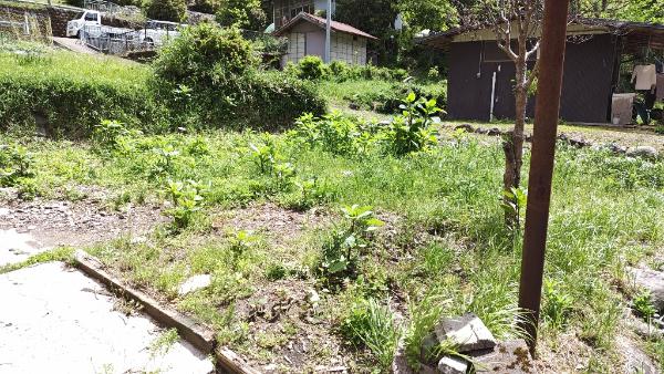 1980s wood house in Hyogo