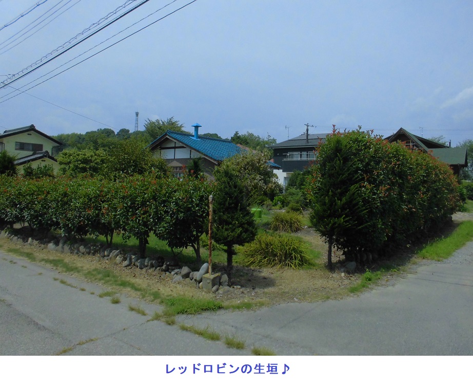 1970s wood house in Nagano