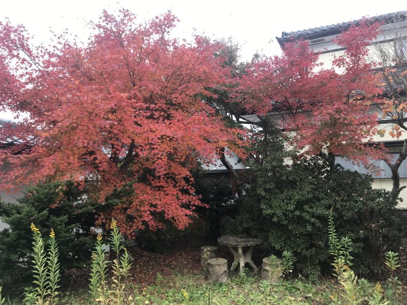 1980s wood house in Iwate