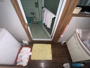 House in Kochi