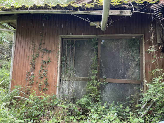 Wood house in Miyazaki