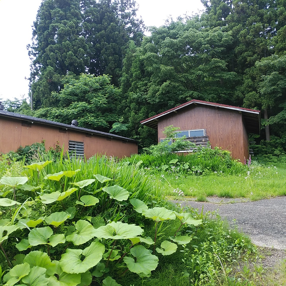 1950s wood house on a large plot in Iwate