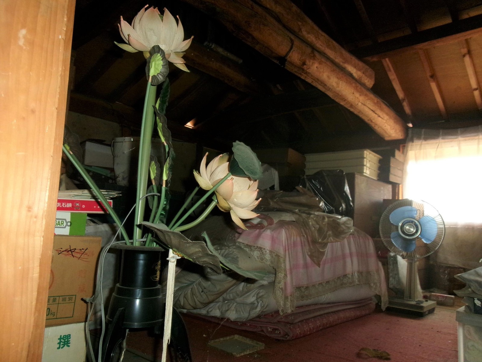 1970s house, 20-min walk to station, Hyogo